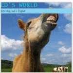 ED'S WORLD.jpg