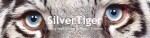 SILVER TIGER.jpg